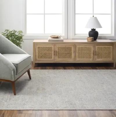 Avant Garde AVT-2343 2'7" x 7'3" Rug