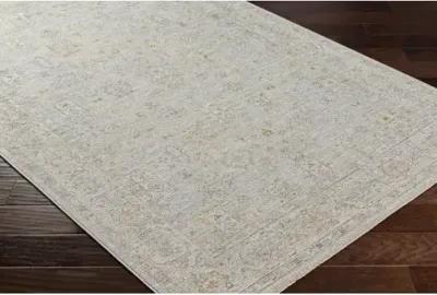 Avant Garde AVT-2343 2'7" x 7'3" Rug