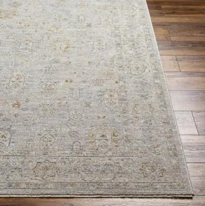 Avant Garde AVT-2343 2'7" x 7'3" Rug