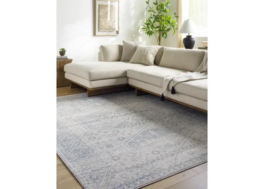 Alpharetta APH-2313 6'7" x 9' Machine Woven Rug