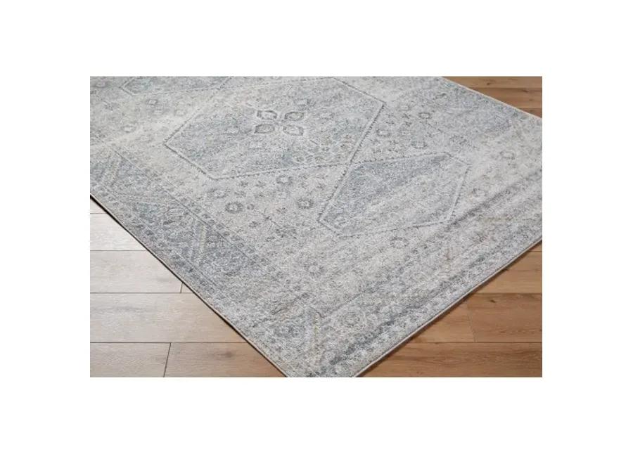 Alpharetta APH-2313 6'7" x 9' Machine Woven Rug