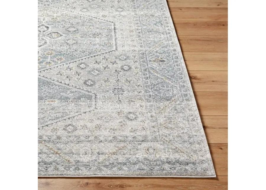 Alpharetta APH-2313 6'7" x 9' Machine Woven Rug