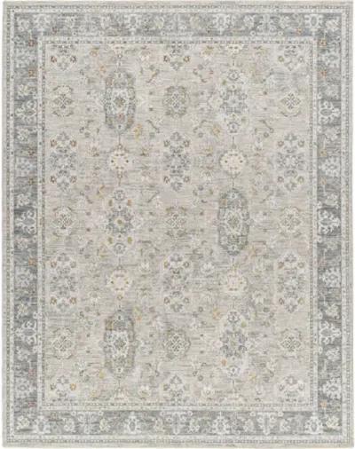 Dresden DRE-2325 2'7" x 7'3" Machine Woven Rug