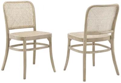 Winona Wood Dining Side Chair Set of 2