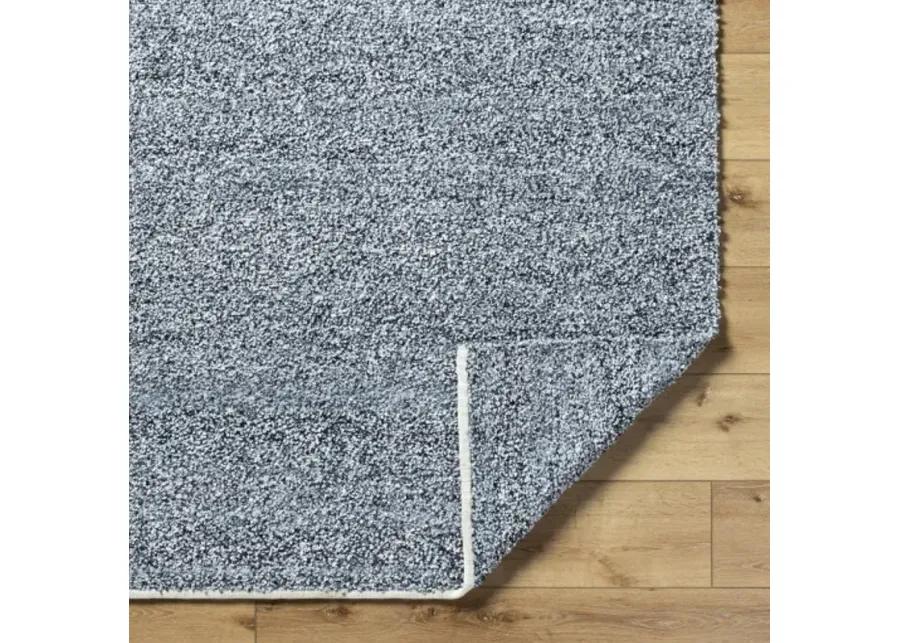 Boculette BCT-2302 5' x 7'6" Hand Made Rug