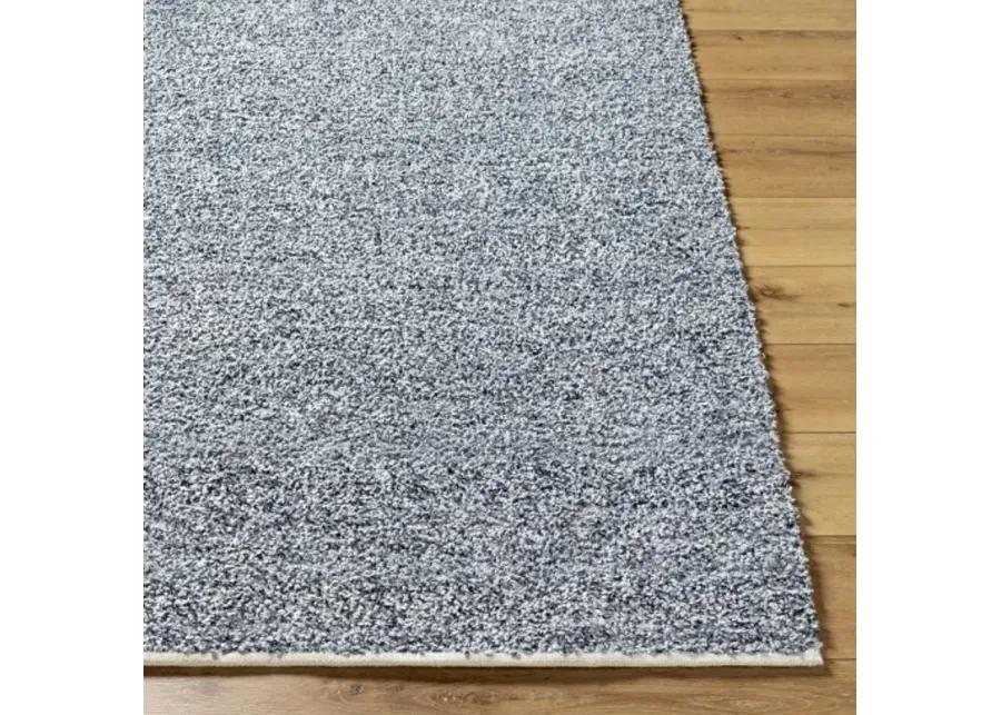 Boculette BCT-2302 5' x 7'6" Hand Made Rug