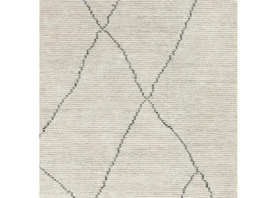 Nalan NYL-2303 9' x 12' Hand Made Rug