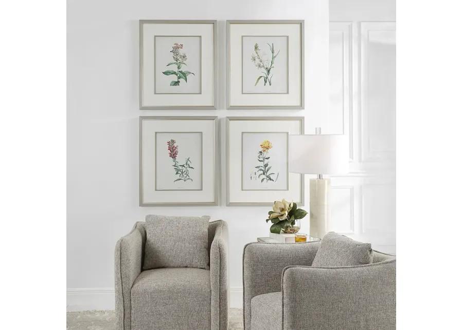 Heirloom Blooms Study Framed Prints Set/4