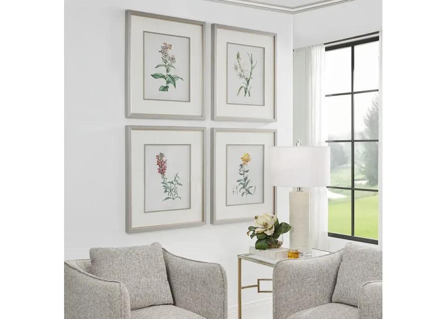 Heirloom Blooms Study Framed Prints Set/4