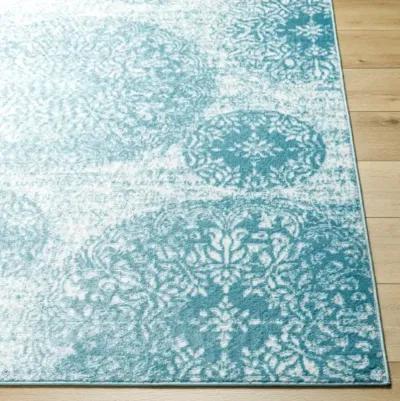 Monte Carlo MNC-2343 6'11" x 9' Machine Woven Rug