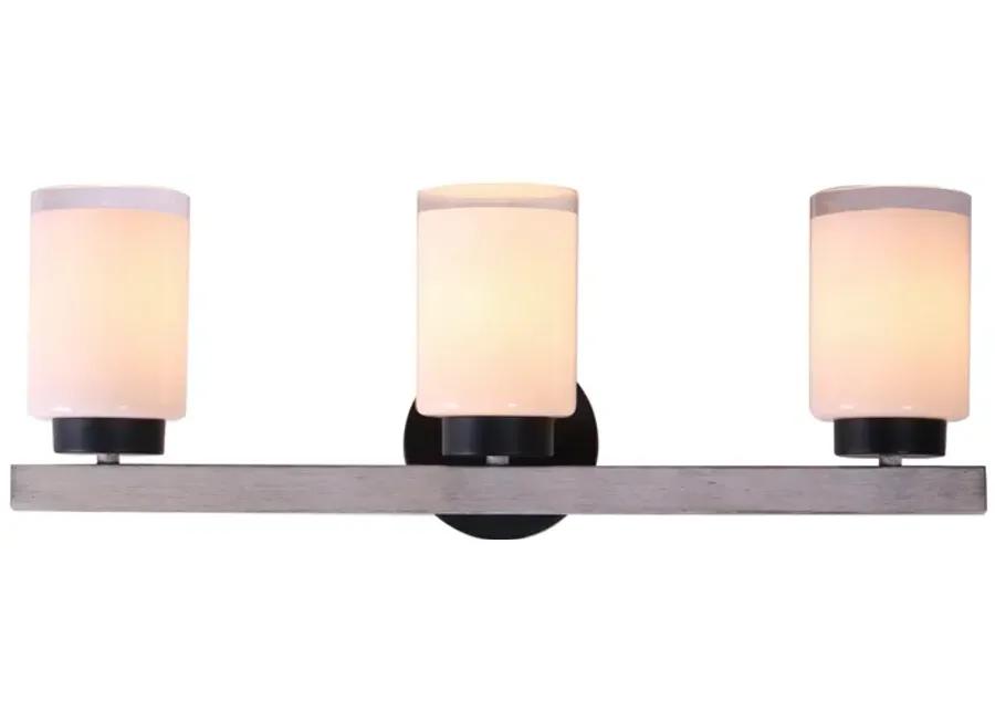 Briggs 24'' Wide 3-Light Vanity Light - Black