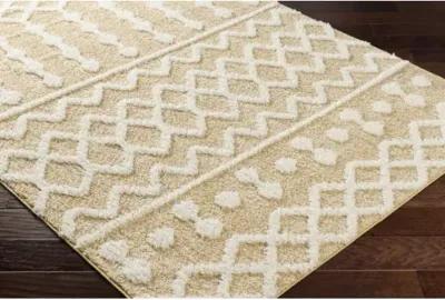 Rodos RDO-2345 6'7" x 9' Machine Woven Rug