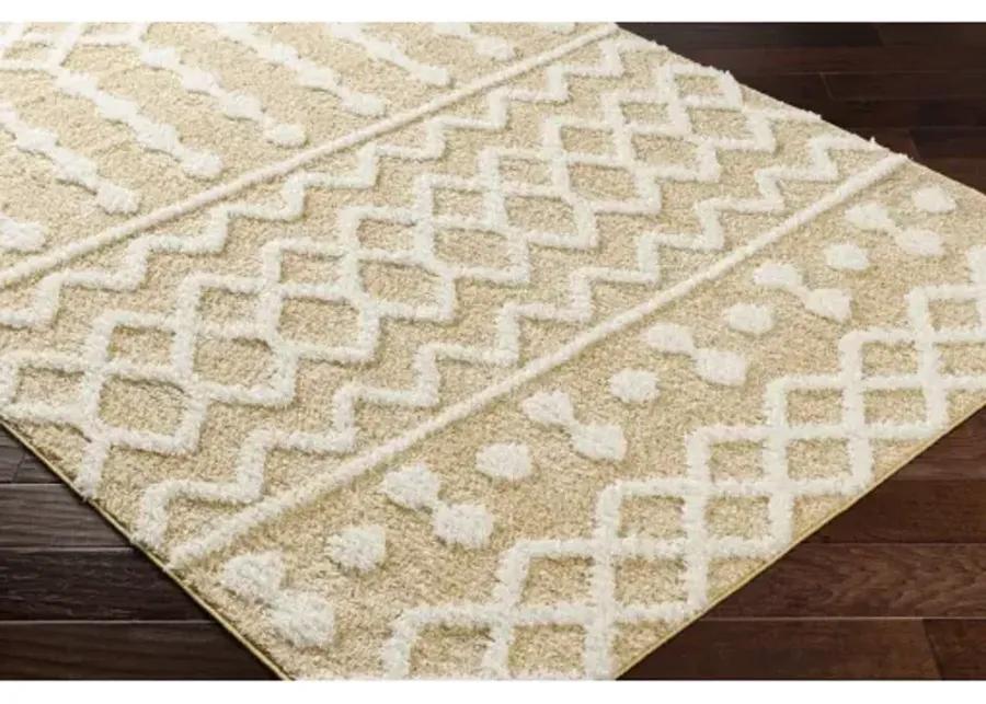 Rodos RDO-2345 6'7" x 9' Machine Woven Rug