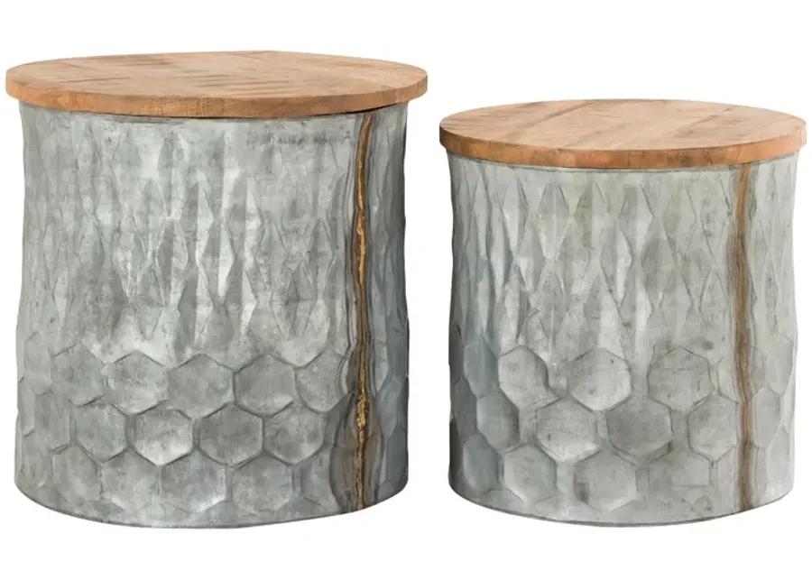 Caldwell Stools (Set of 2)