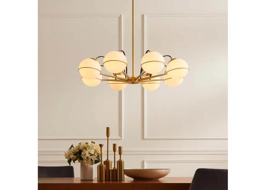 Hanna 8-Light Chandelier