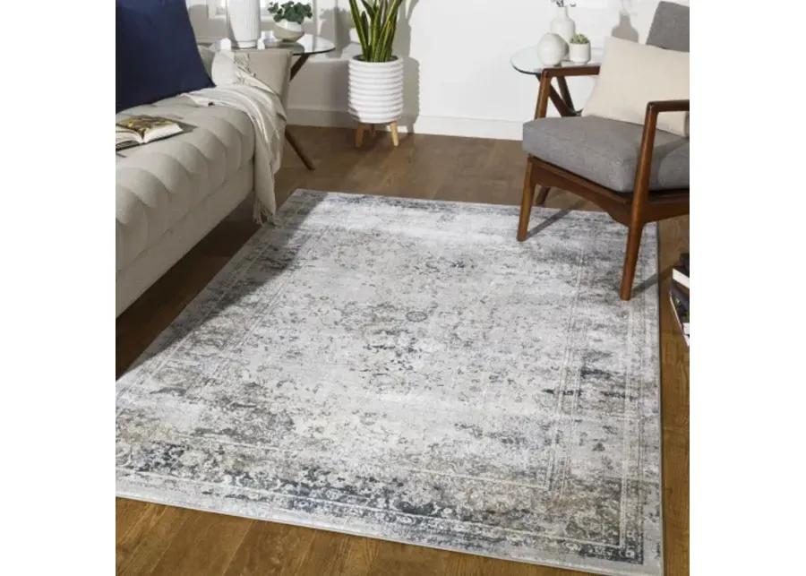 Norland 2'7" x 4' Rug