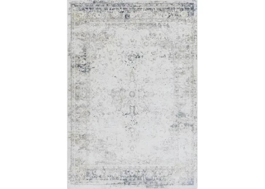 Norland 2'7" x 4' Rug