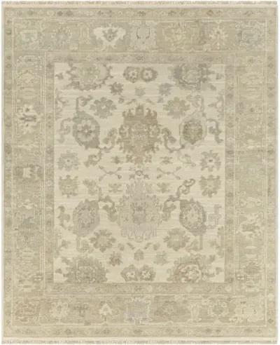 Antalya AAT-2304 12' x 15' Handmade Rug