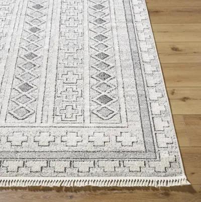 Berlin BLR-2313 5'3" x 7' Machine Woven Rug