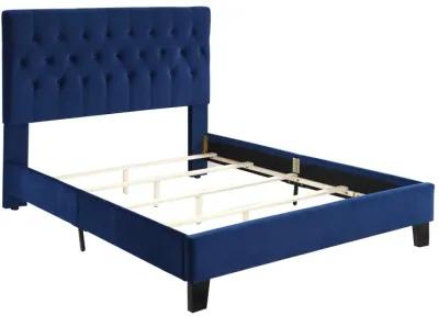 Amelia Cal King Upholstered Bed