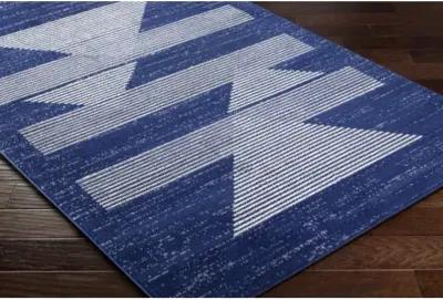 Pisa PSS-2377 5' x 7' Machine Woven Rug