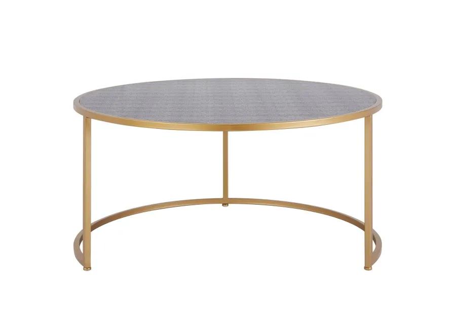 Anza Faux Shagreen Nesting Coffee Table - Set Of 2