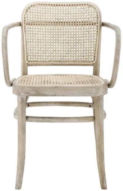 Winona Wood Dining Chair