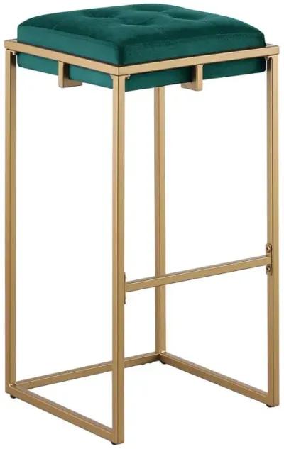 Nadia Square Padded Seat Bar Stool (Set of 2) Hunter Green and Gold