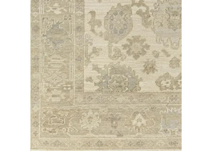 Antalya AAT-2304 8' x 10' Handmade Rug