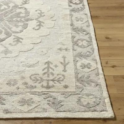 Hadiya HAY-2300 9' x 12' Handmade Rug