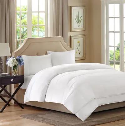 Sleep Philosophy Benton White All Season 2 in 1 Twin Down Alternative Comforter