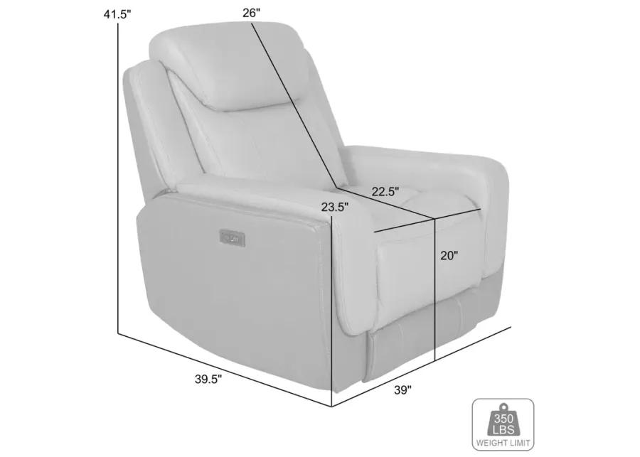 Rosalyn Zero Gravity Power Recliner in Silver and Gray Leather with Power Headrest