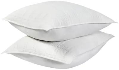 Hailee 100% Cotton White Euro Sham with Silvadur Tech