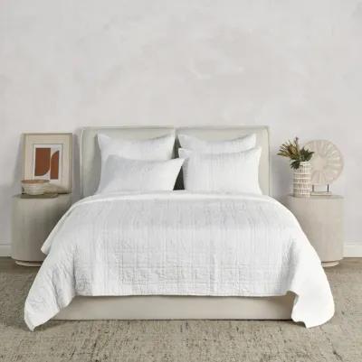 Hailee 100% Cotton White Euro Sham with Silvadur Tech