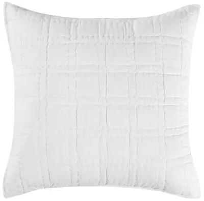 Hailee 100% Cotton White Euro Sham with Silvadur Tech