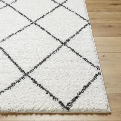 Birmingham BMM-2318 5'3" x 7' Machine Woven Rug