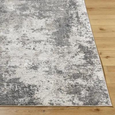 Merengue MRG-2305 7'10" x 10' Machine Woven Rug