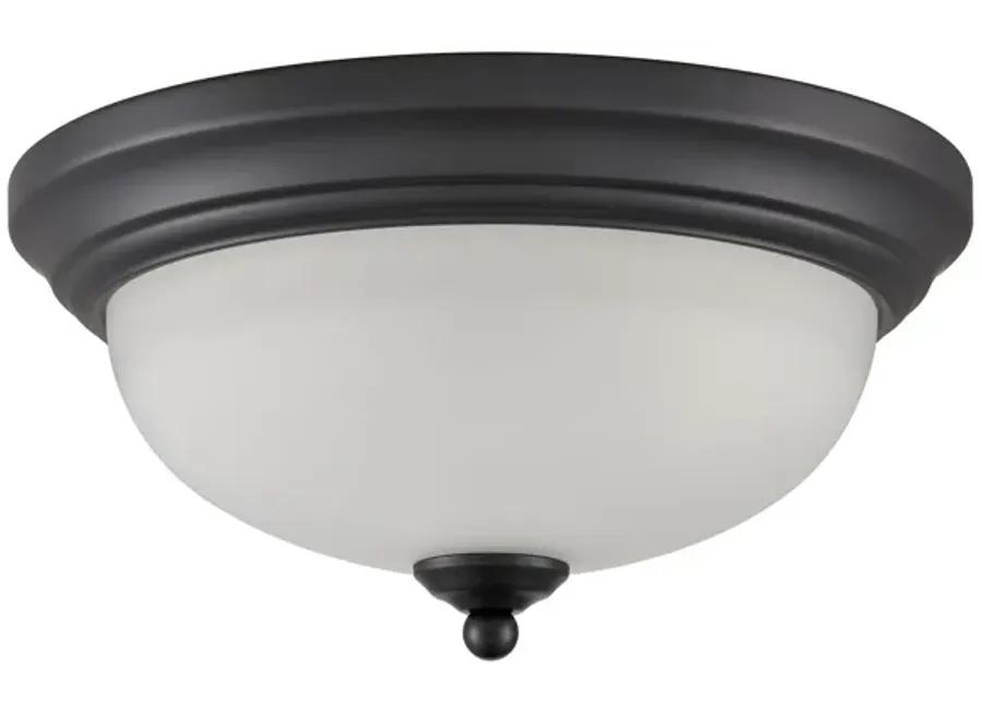 Basics 11" Wide 2-Light Flush Mount - Black