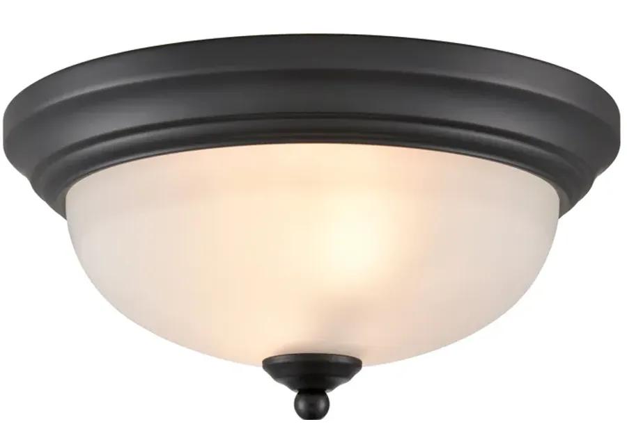 Basics 11" Wide 2-Light Flush Mount - Black