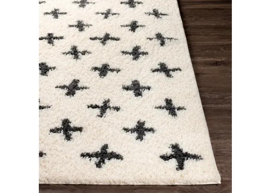 Beni shag BSH-2304 2'7" x 7'3" Rug