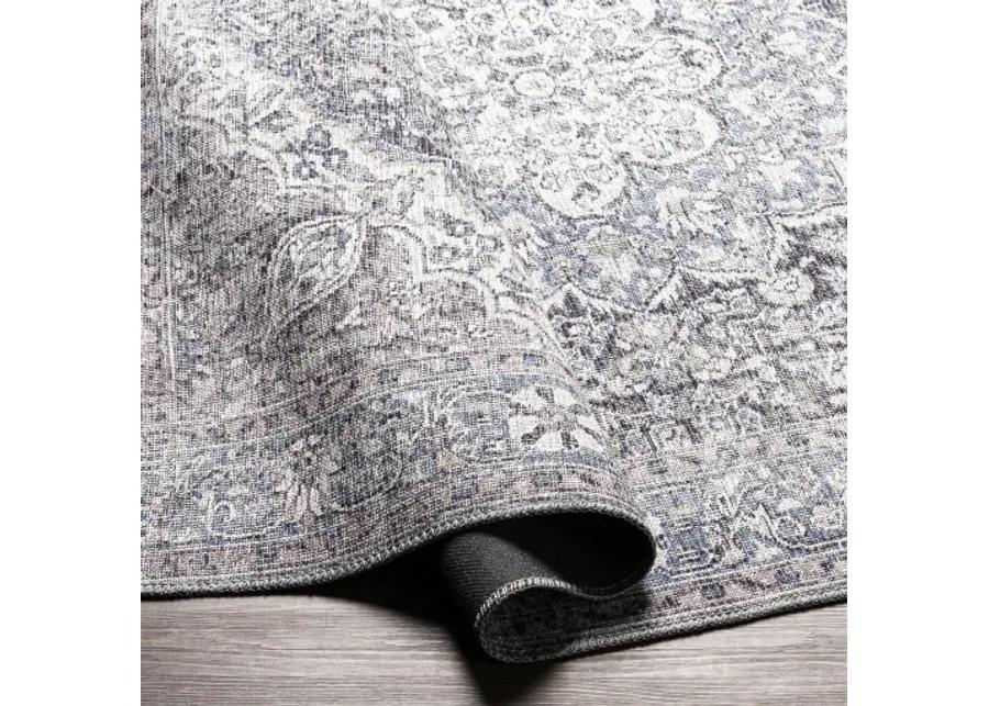 Colin CLN-2308 2'7" x 12' Rug