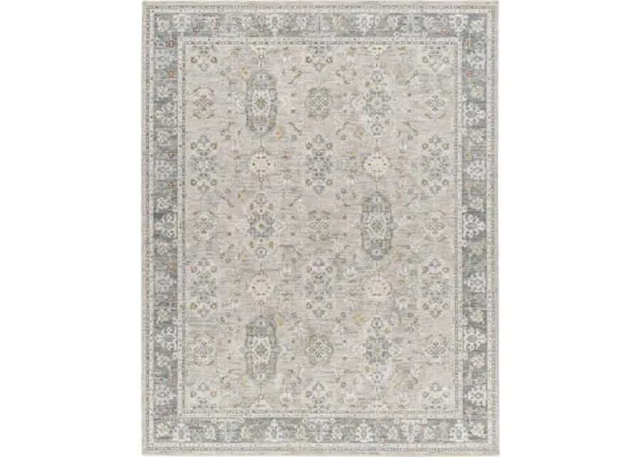 Dresden DRE-2325 6'7" x 9'6" Machine Woven Rug