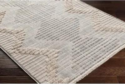 Zaragoza ZRZ-2300 2'7" x 7'3" Rug