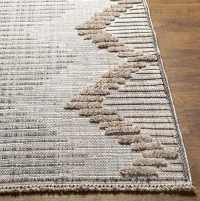 Zaragoza ZRZ-2300 2'7" x 7'3" Rug