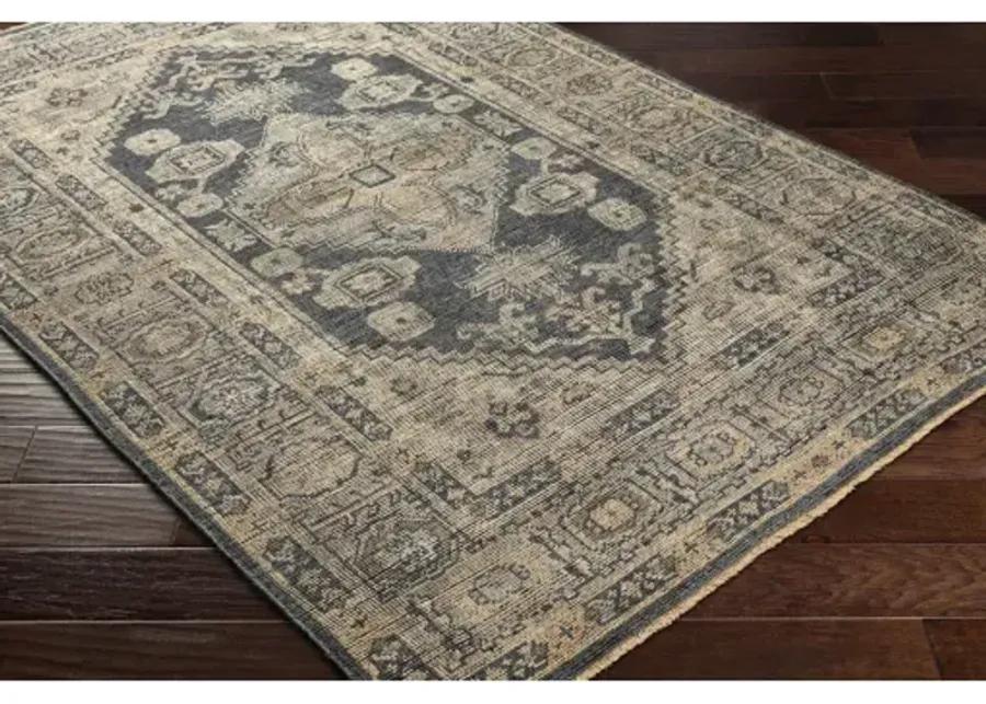 Reign 6' x 9' Rug