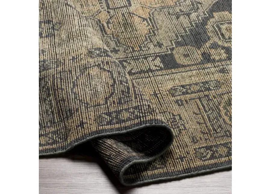 Reign 6' x 9' Rug