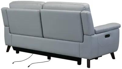 Lizette Contemporary Sofa in Dark Brown Wood Finish and Dove Gray Genuine Leather