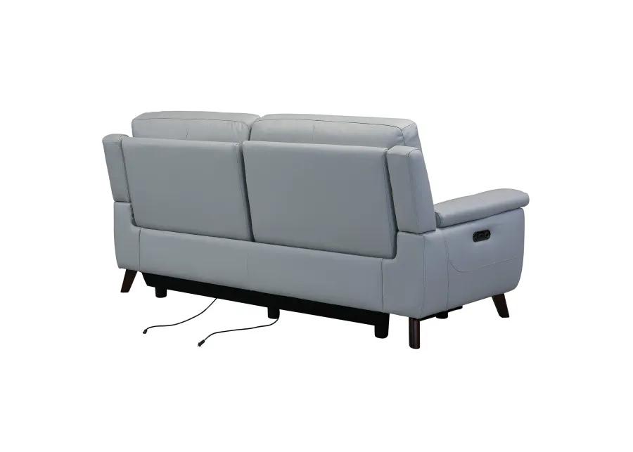 Lizette Contemporary Sofa in Dark Brown Wood Finish and Dove Gray Genuine Leather