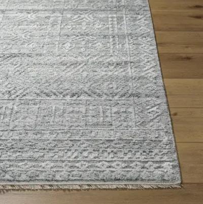 Pompei PPI-2304 2' x 3' Hand Made Rug