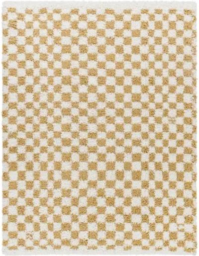 Birmingham BMM-2323 5'3" x 7' Machine Woven Rug